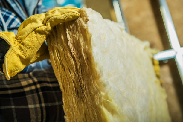 Best Insulation Installation Services in Gosnell, AR