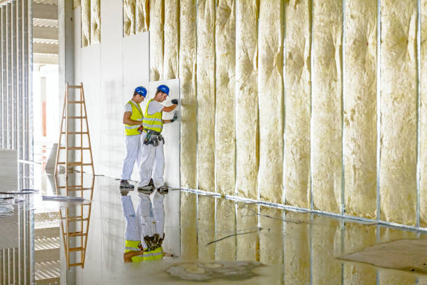 Best Insulation Materials and Products in Gosnell, AR